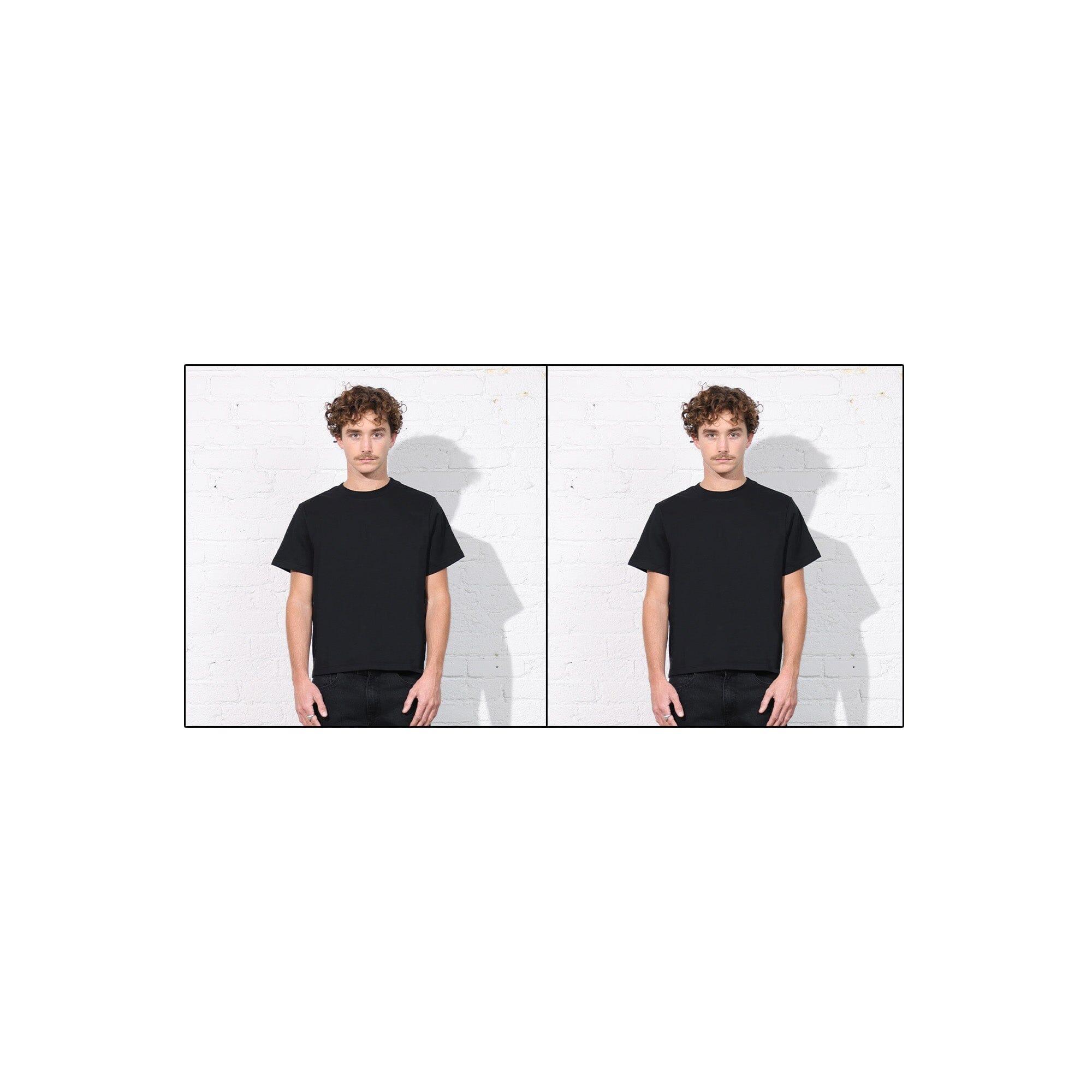 Silverlake Crop Tee II Product Image