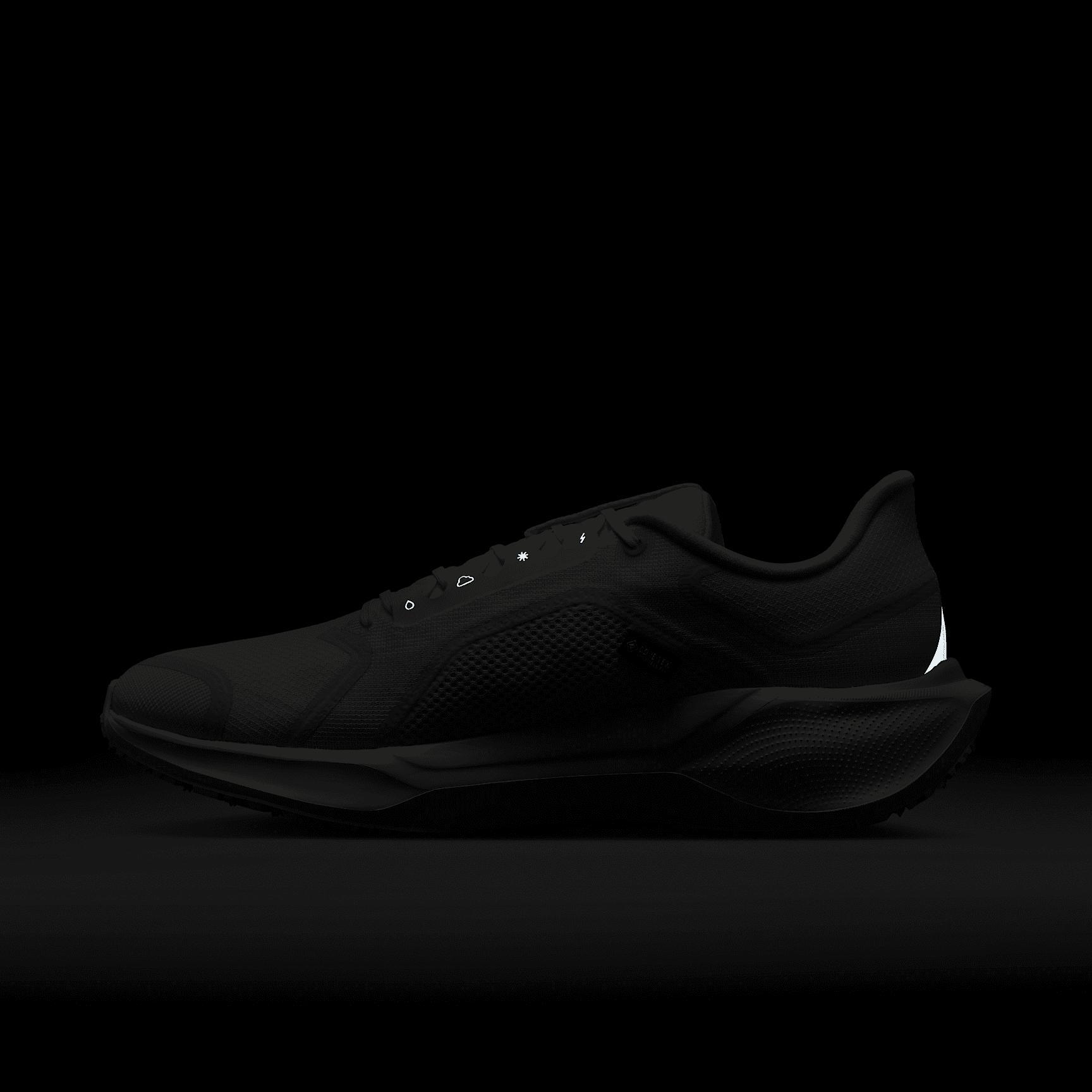 Nike Men's Pegasus 41 GORE-TEX Waterproof Road Running Shoes Product Image