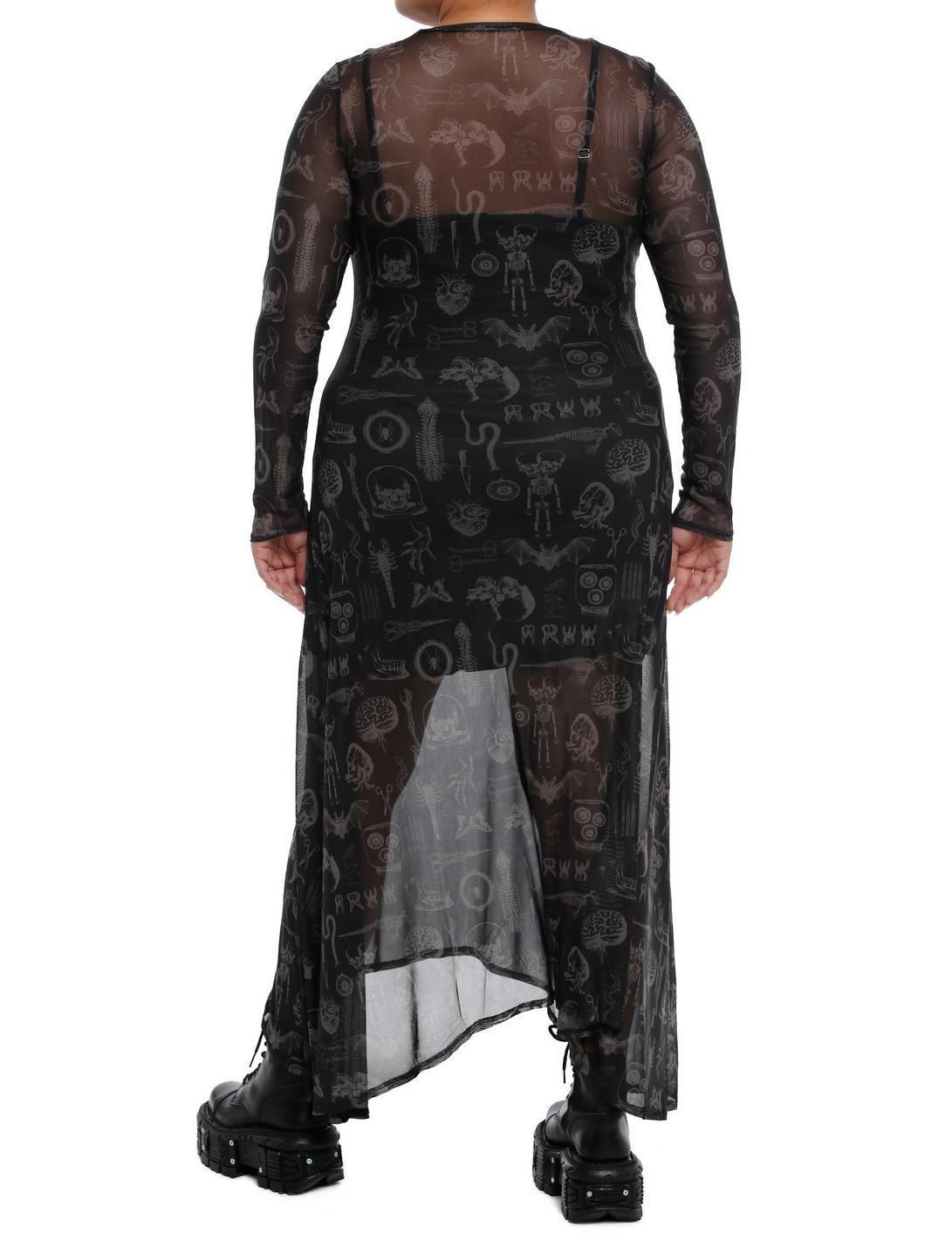 Cosmic Aura Taxidermy Mesh Maxi Dress Plus Size Product Image