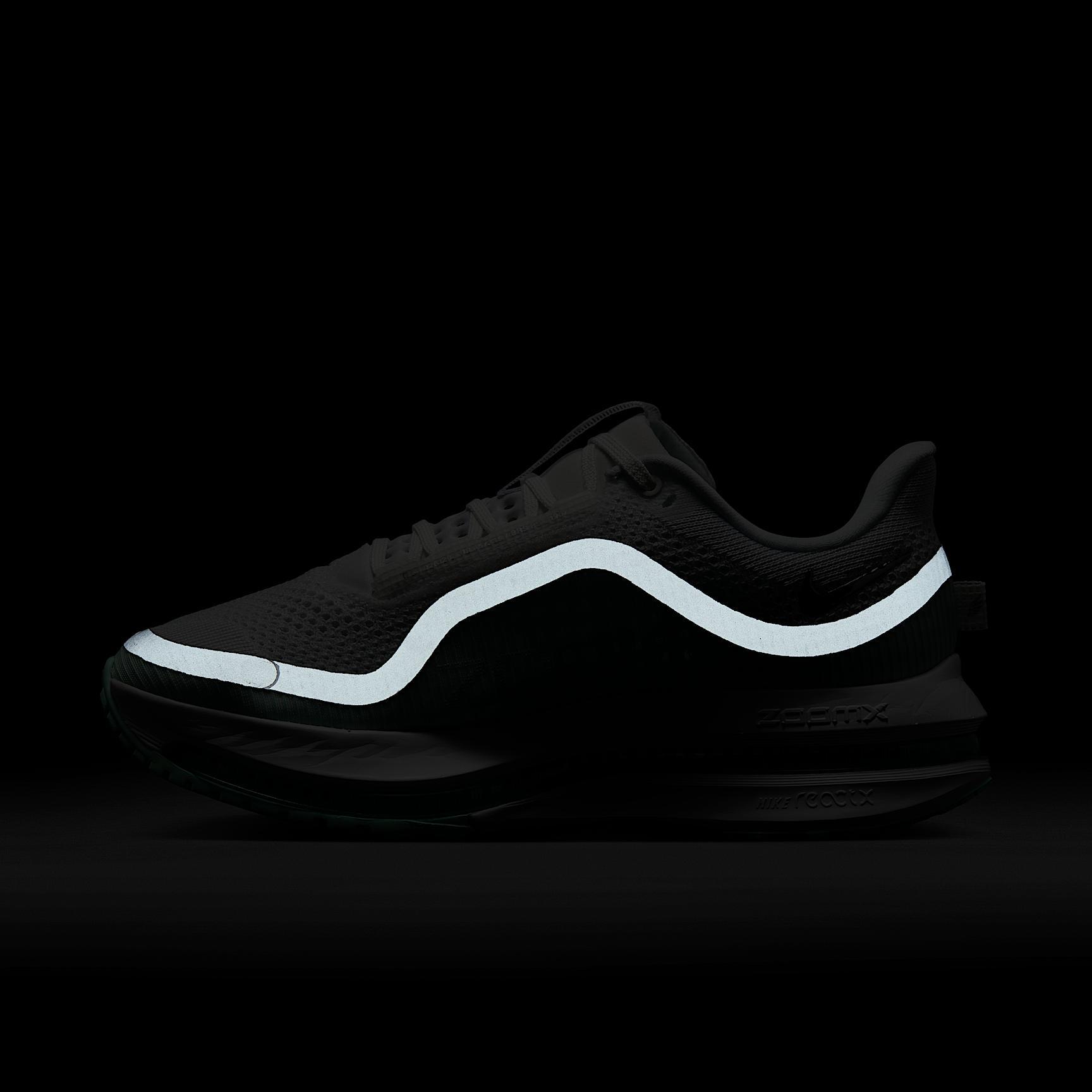 Nike Women's Pegasus Premium Road Running Shoes Product Image