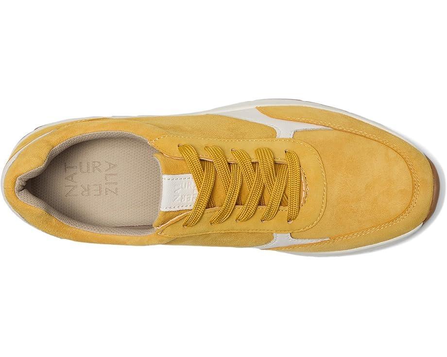 Shay Jogger Lace-Up Product Image