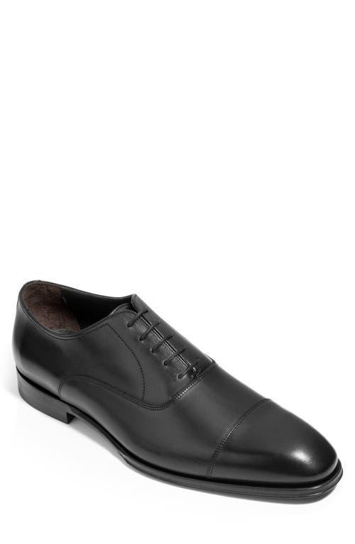 To Boot New York Mens Nico Cap Toe Oxfords Product Image