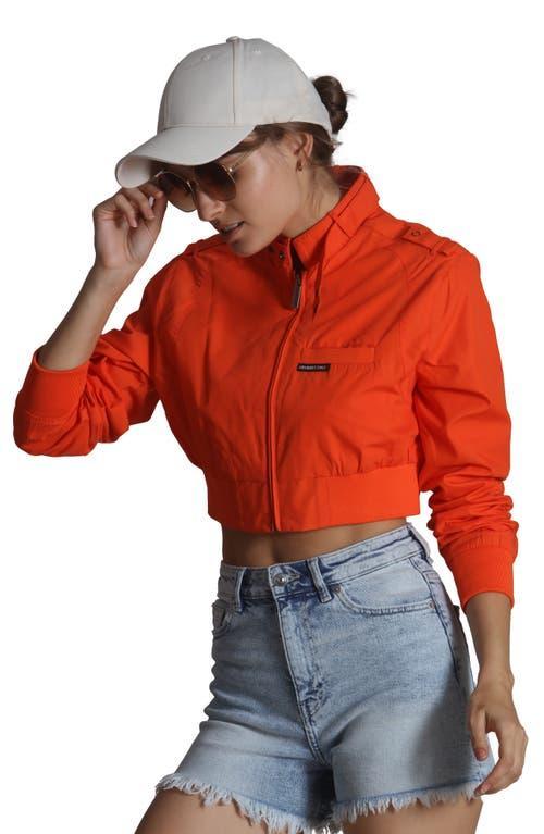 Members Only Women's Mini Cropped Racer Jacket in Black at Nordstrom, Size X-Large Product Image