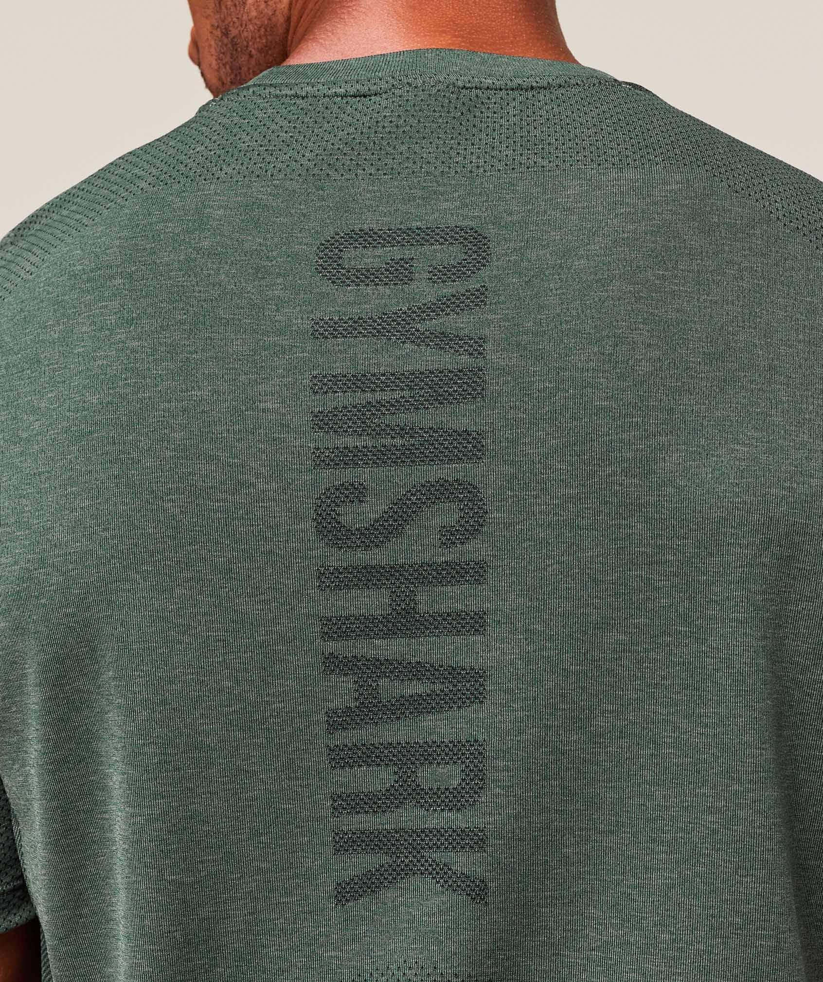 Gymshark Lightweight Seamless T-Shirt - Chalk Green/Base Green Male Product Image