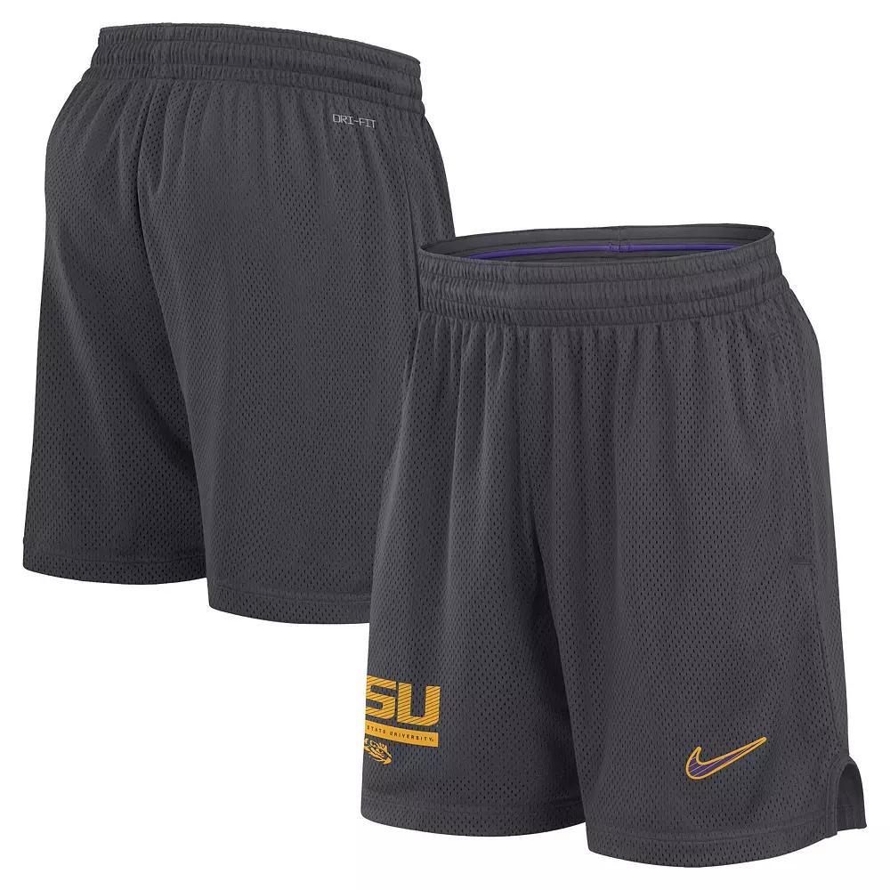 Men's Nike Anthracite Florida State Seminoles 2024 Sideline Mesh Shorts, Size: Medium, Grey Product Image