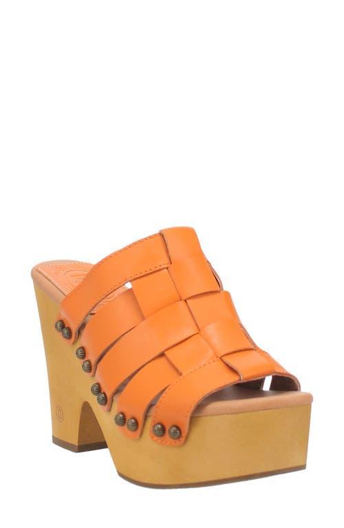 Dingo Dagwood Women's Leather Platform Sandals, Size: 11, Orange Product Image