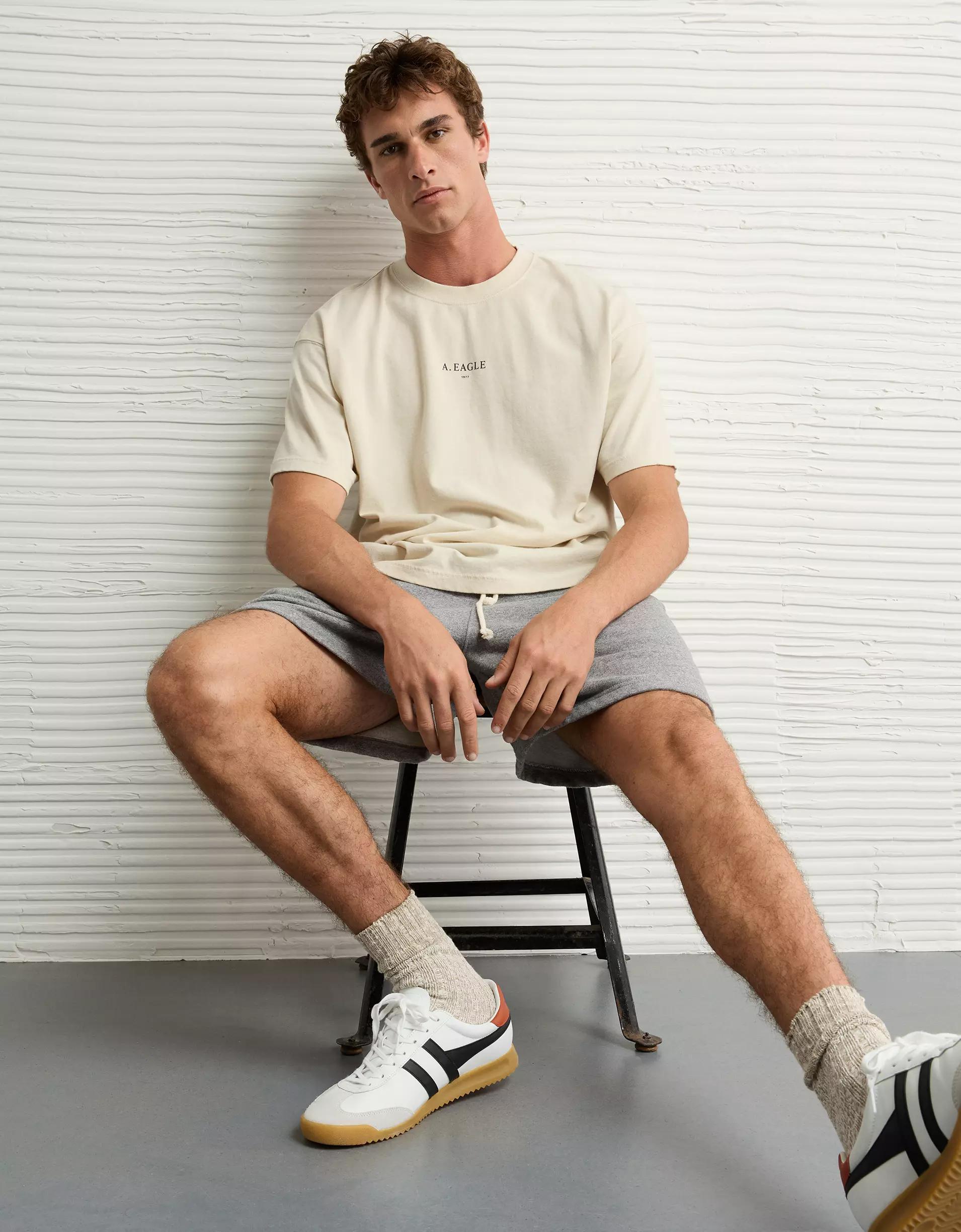AE Boxy Logo Graphic T-Shirt Product Image