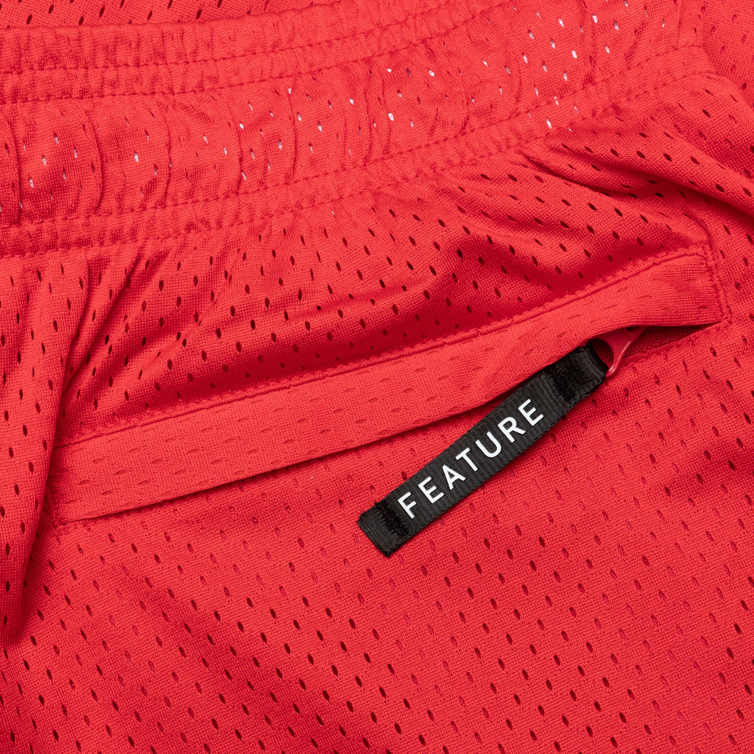 West Mesh Shorts - Desert Oasis Male Product Image