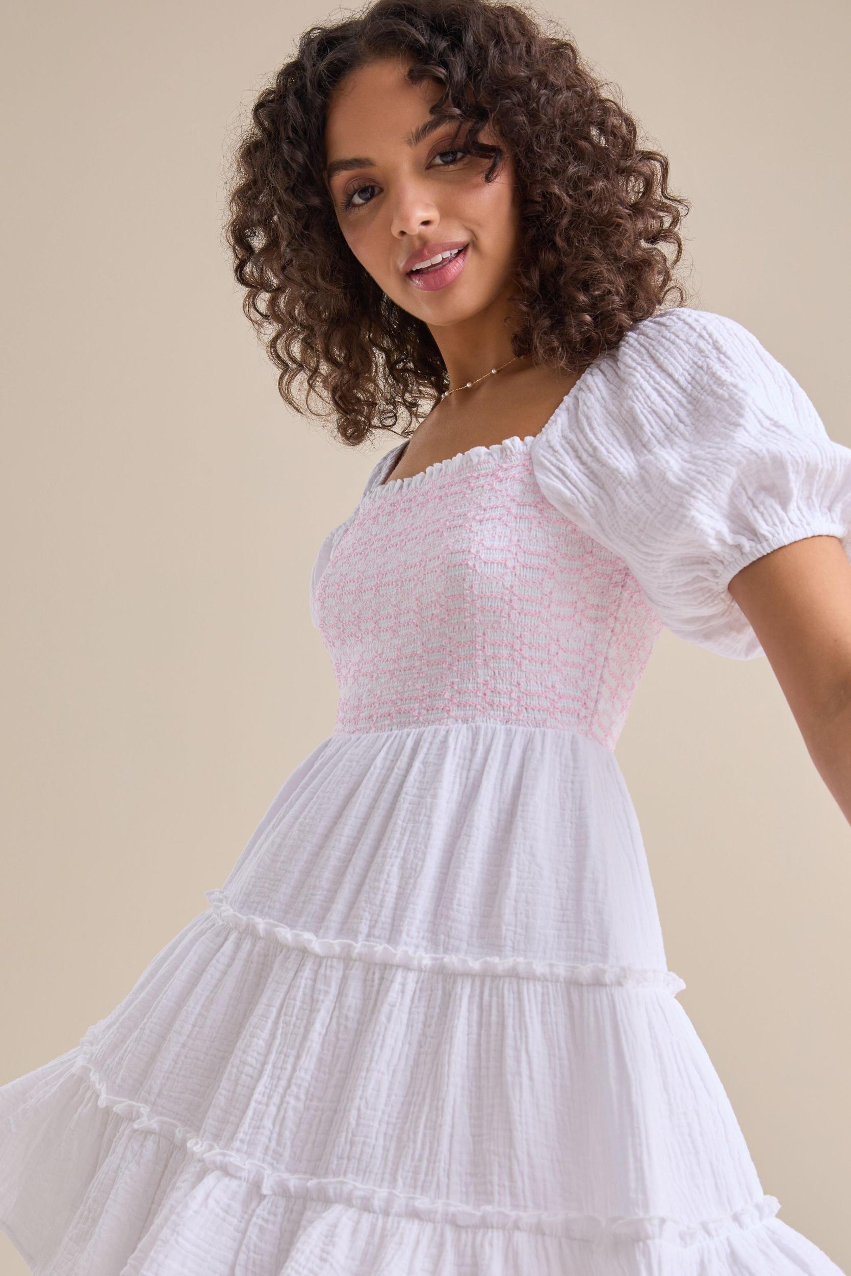 Mallie Embroidered Mini Dress Product Image