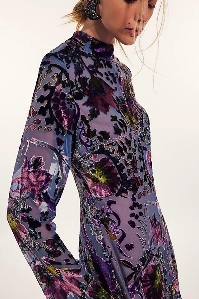 Bali Painterly Paisley Velvet Maxi Dress Product Image