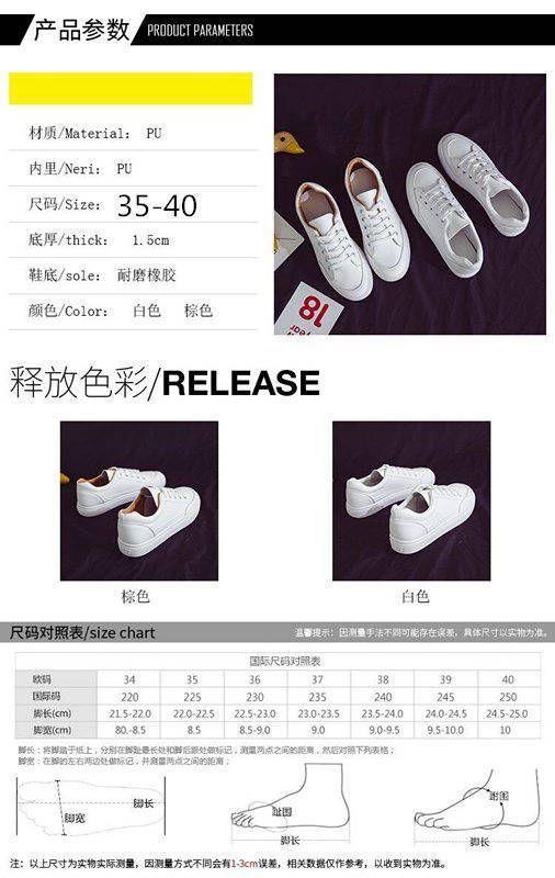 Plain Sneakers Product Image
