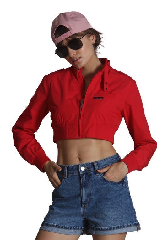 Members Only Women's Mini Cropped Racer Jacket in Black at Nordstrom, Size X-Large Product Image
