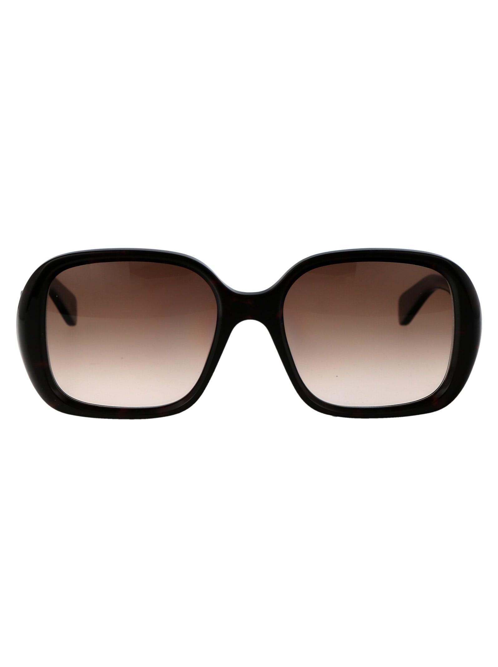 CHLOÉ Chloe Sunglasses In 002 Havana Havana Brown Product Image