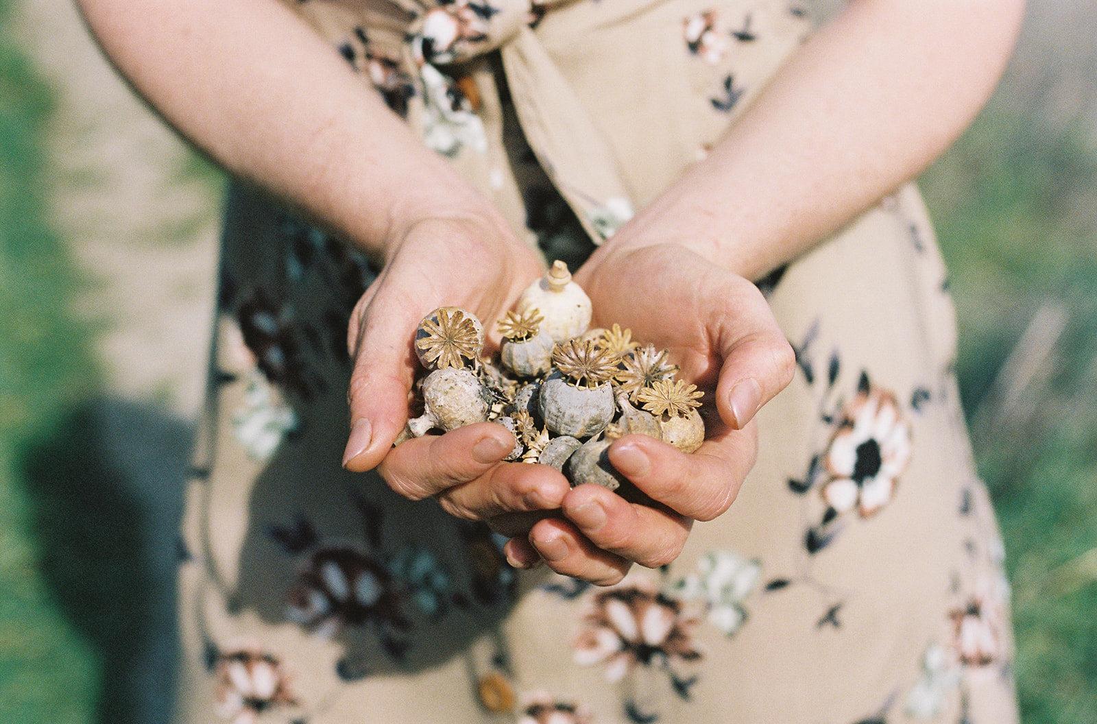 Paloma Dress in Taupe Floral Product Image