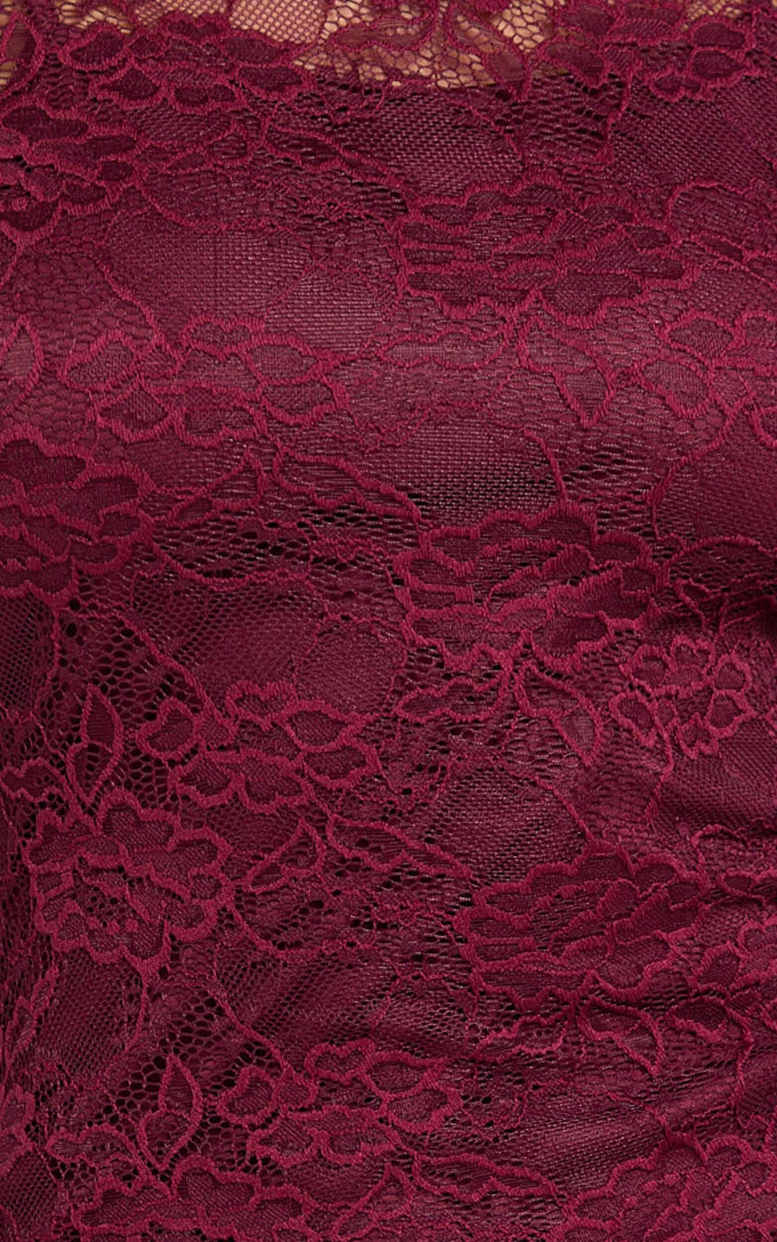 Dexter Mini Dress - Lace Frill Sleeve High Neck Dress in Wine Product Image