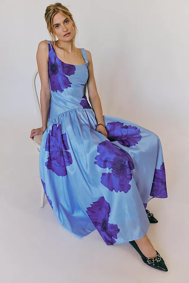 Hutch The Ridge Dress Product Image