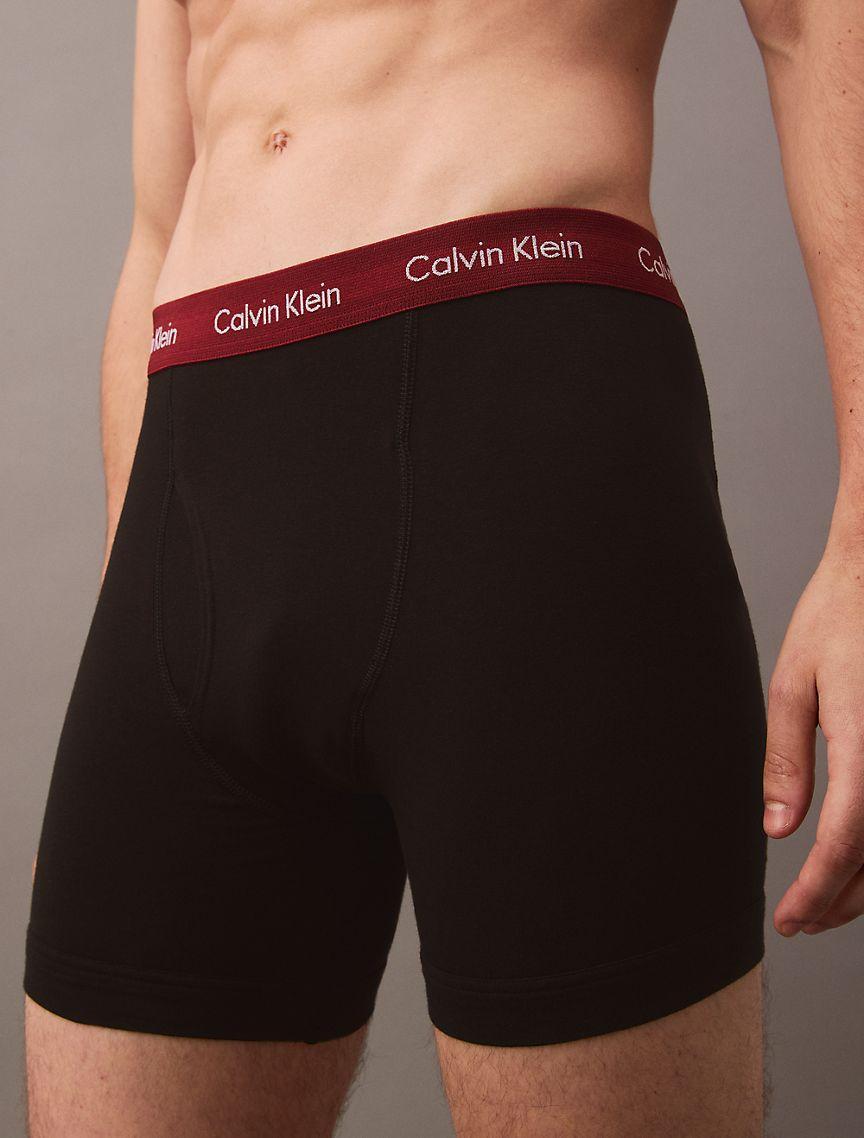 Cotton Classic 5-Pack Boxer Brief Product Image