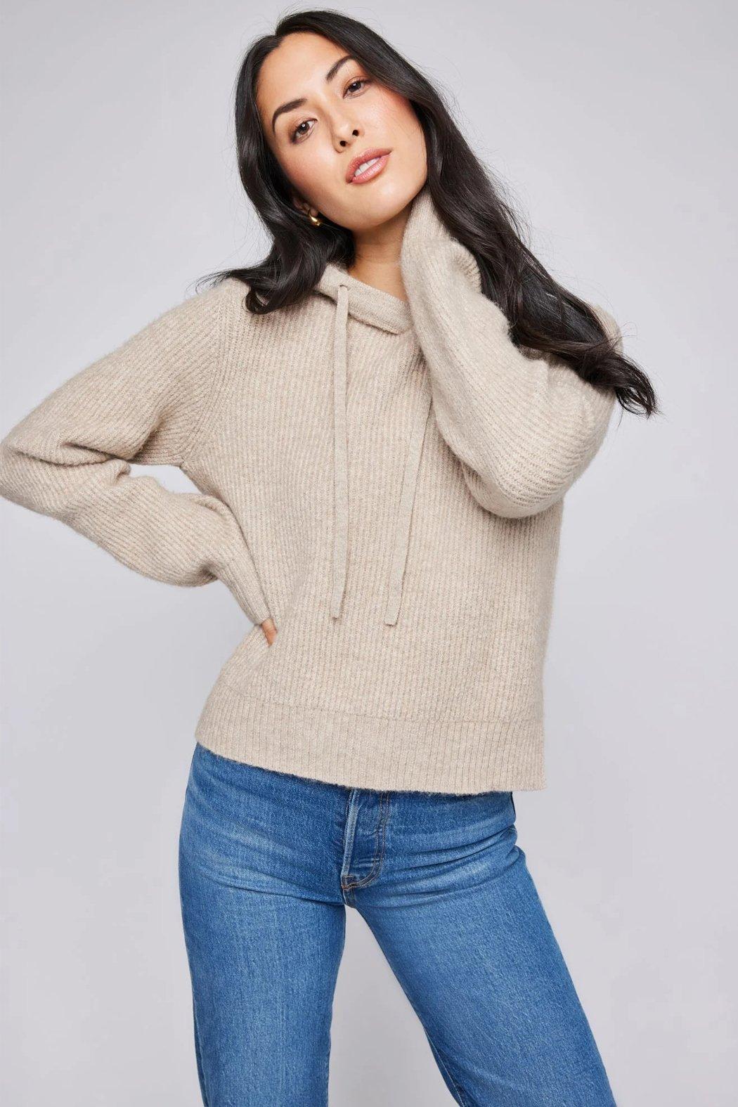 Alanis Hooded Sweater Product Image