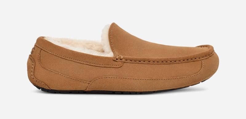 Ugg Mens Ascot Suede Slippers Product Image