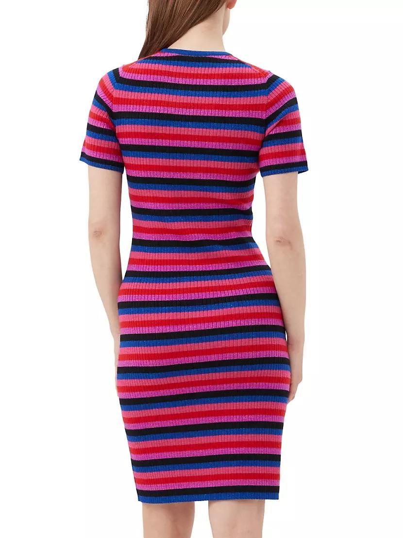 Nijinski Stripe Sweaterdress Product Image