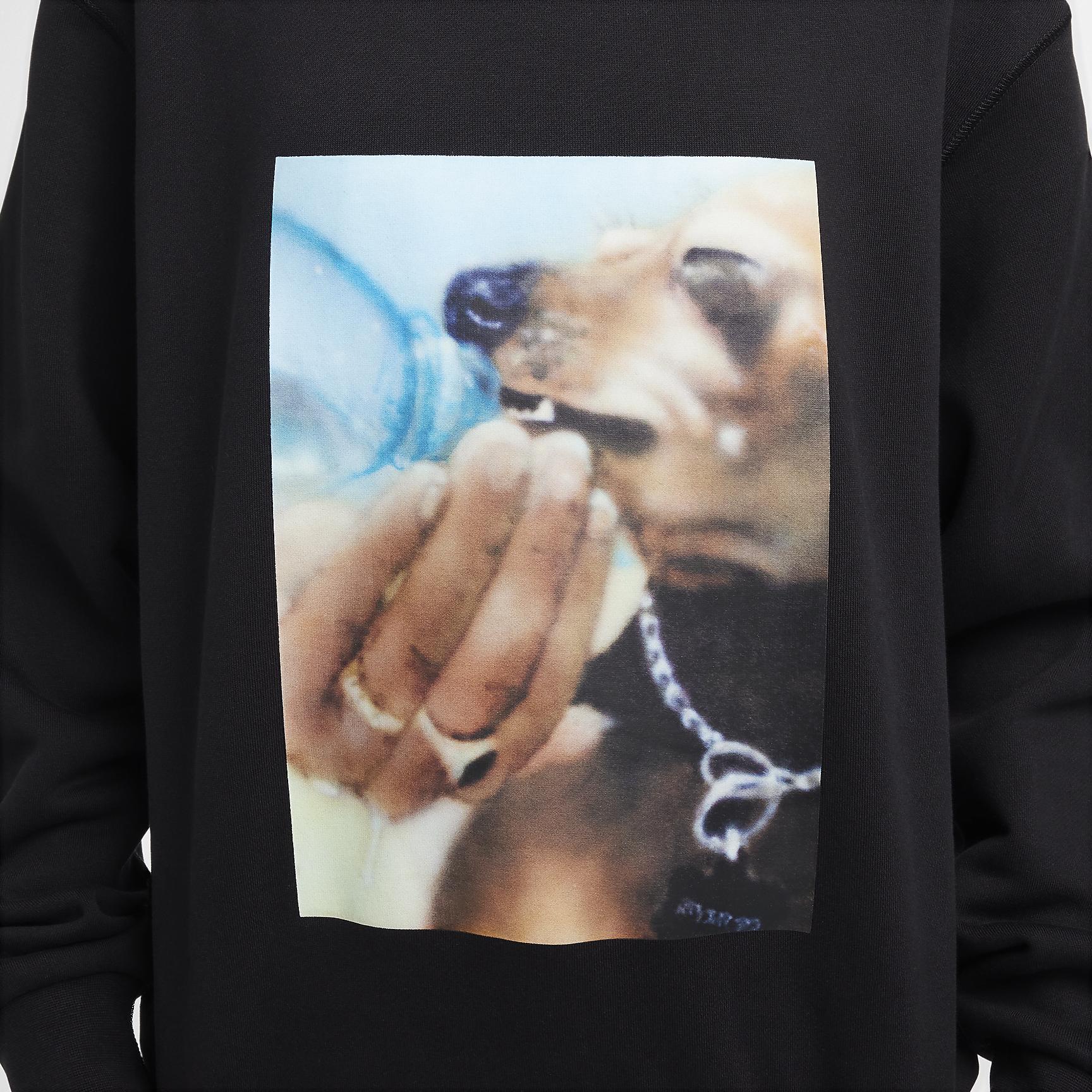 Nike SB Skate Fleece Crew Product Image