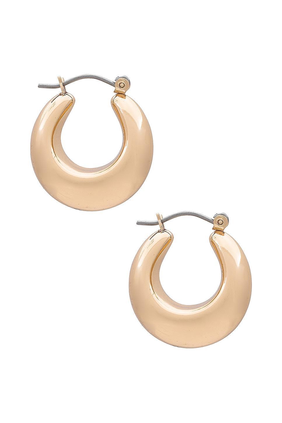 Hoop Earring 8 Other Reasons Product Image