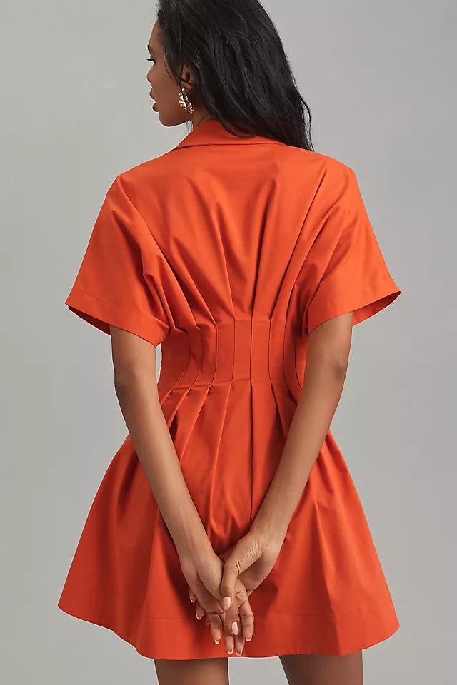 The Tobie Button-Front Pleated Shirt Dress by Exquise: Mini Edition Product Image