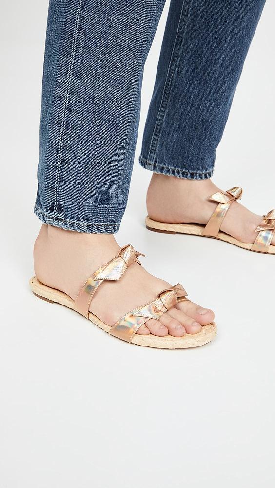 Alexandre Birman Clarita Braided Flat Sandals | Shopbop Product Image