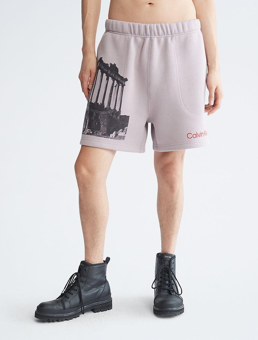 Standards Ruins Graphic Fleece Shorts Product Image
