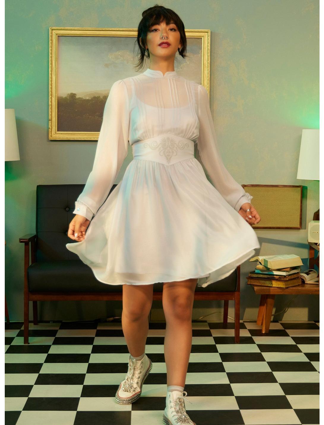 Beetlejuice Beetlejuice Astrid Mesh Long-Sleeve Dress Product Image