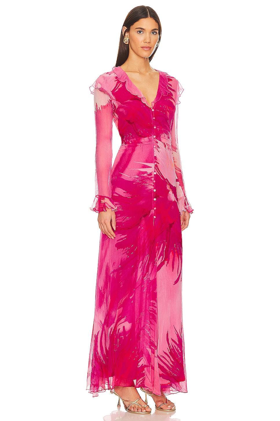 Abira Maxi Dress Product Image