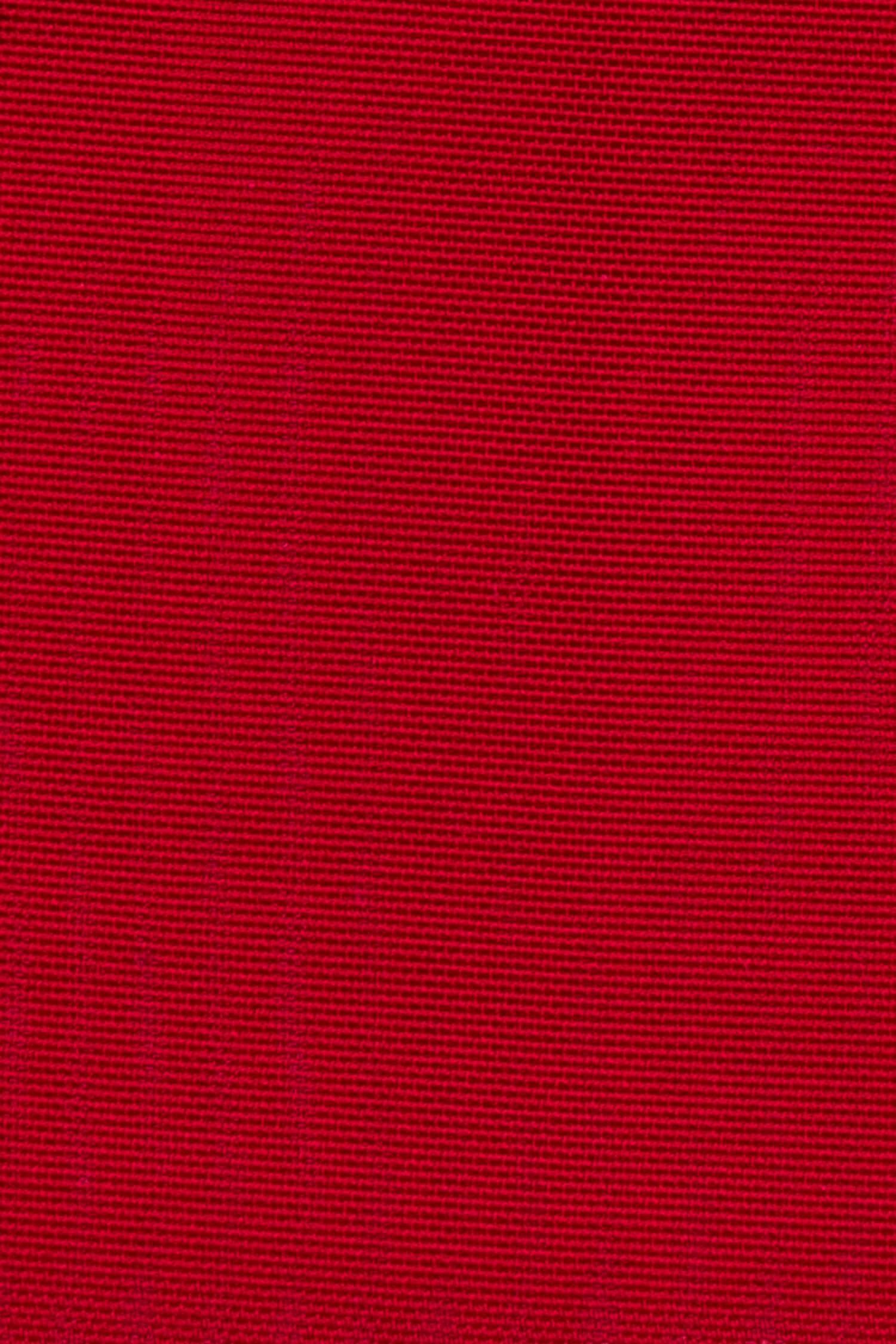 VERO SKIRT - RED ROSE Product Image