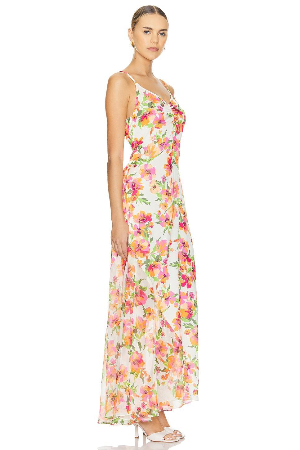 Negine Maxi Dress Product Image