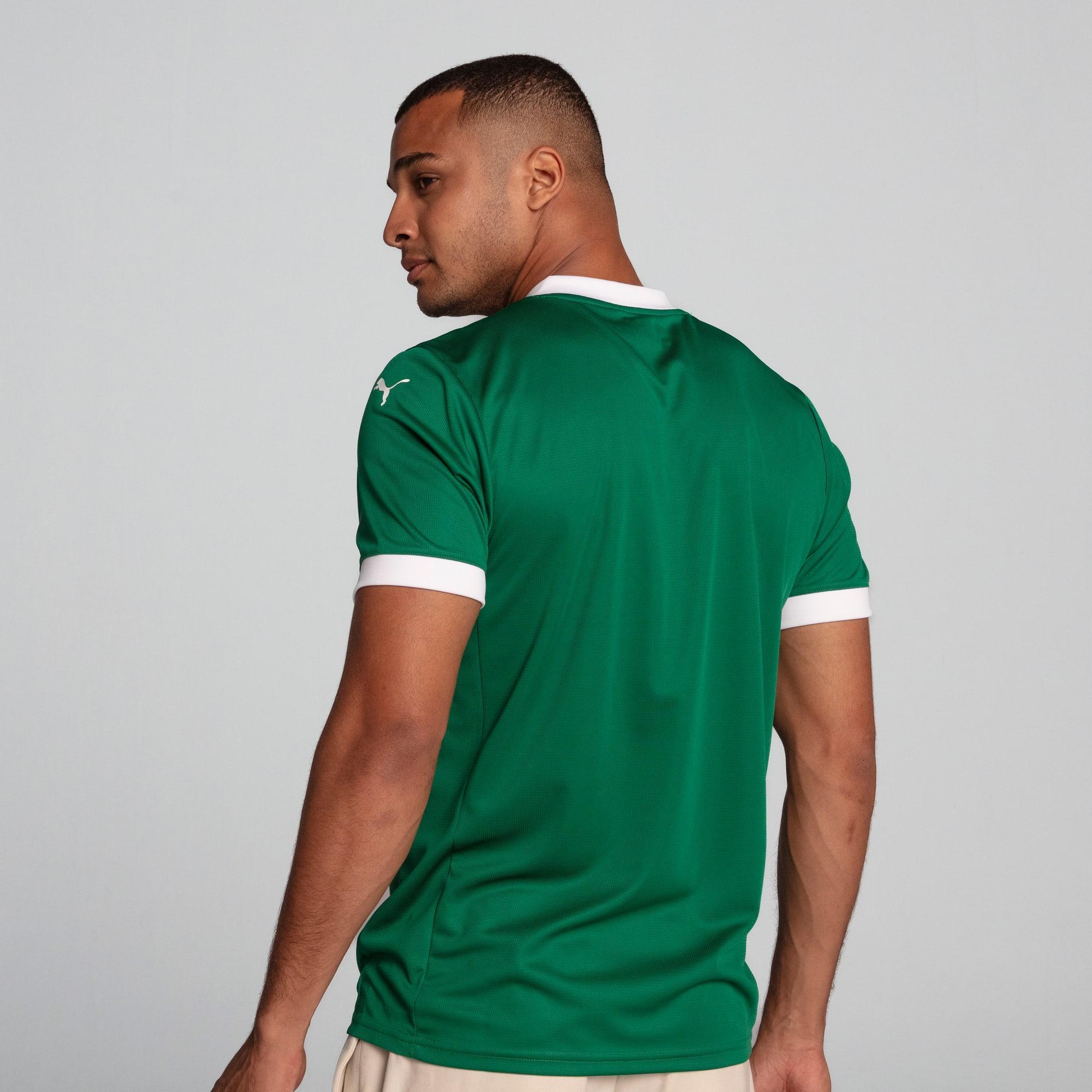 Palmeiras Torcedor Home Jersey 25 Men Product Image