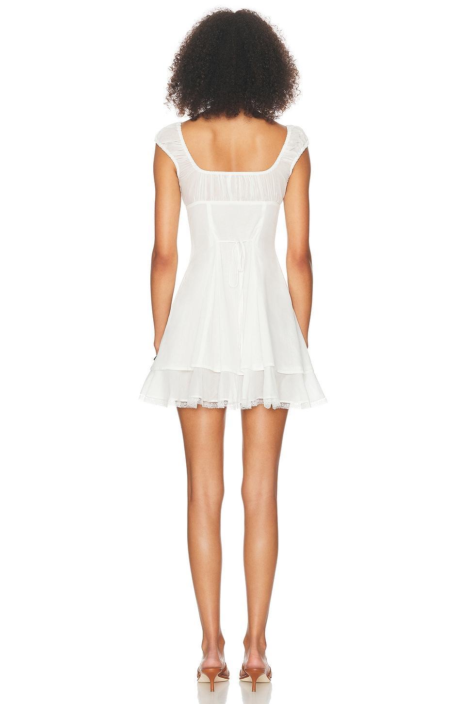 Voile Faire Mini Dress Product Image