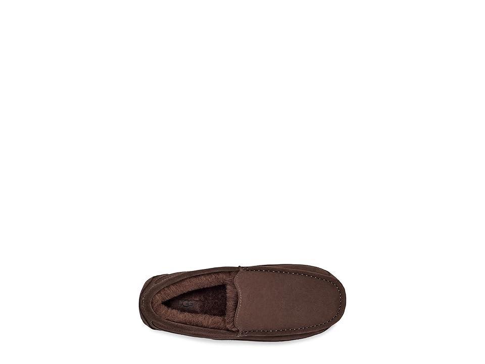 UGG Mens Ascot Suede Moc Product Image