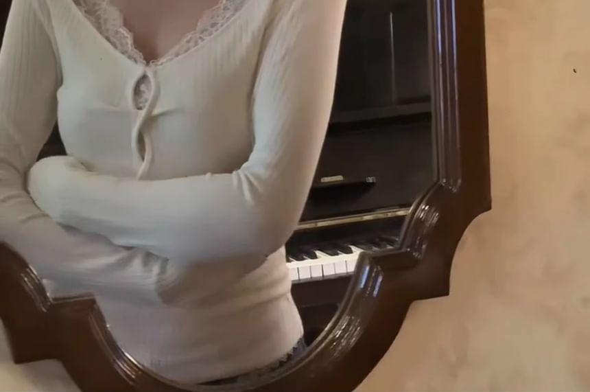 Long Sleeve V-Neck Plain Cutout Panel Lace Top Product Image