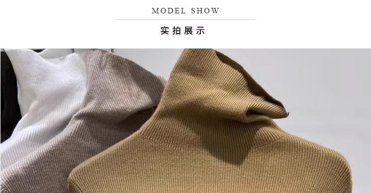 Long-Sleeve Turtleneck Plain Knit Top Product Image