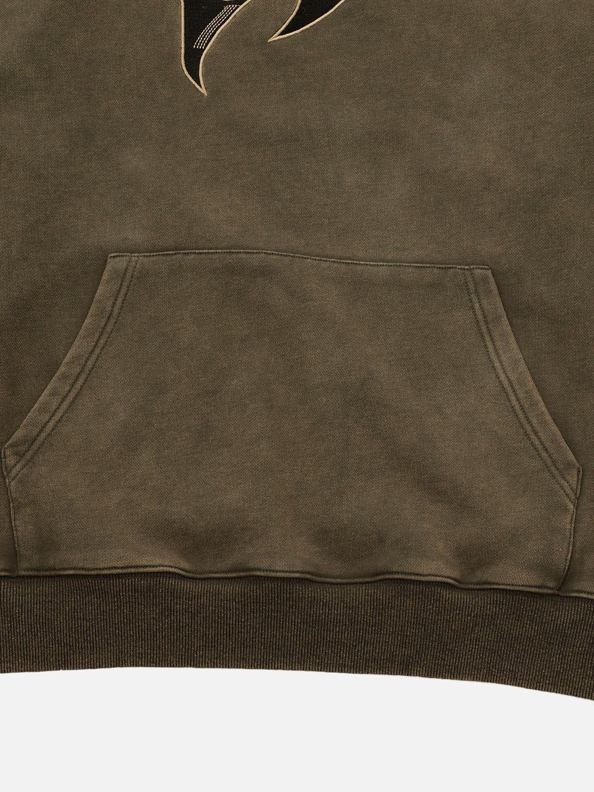 Aelfric Eden Embroidery Washed Hoodie Product Image