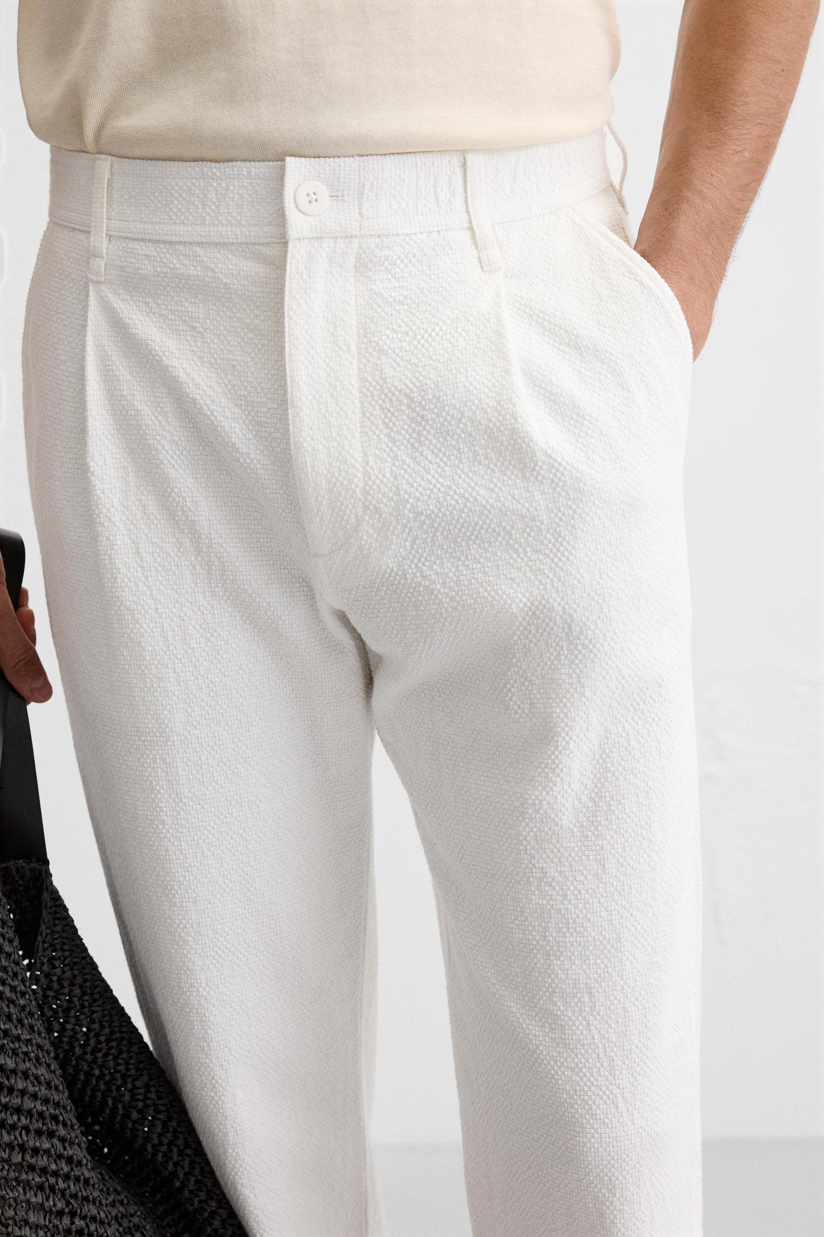 TEXTURED PLEATED PANTS Product Image