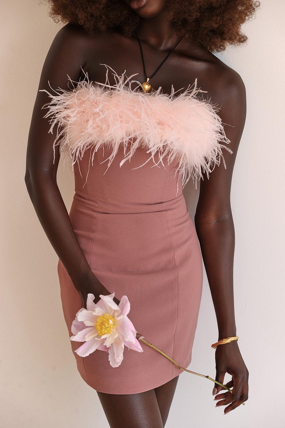 Alexa  warm pink mini dress Product Image