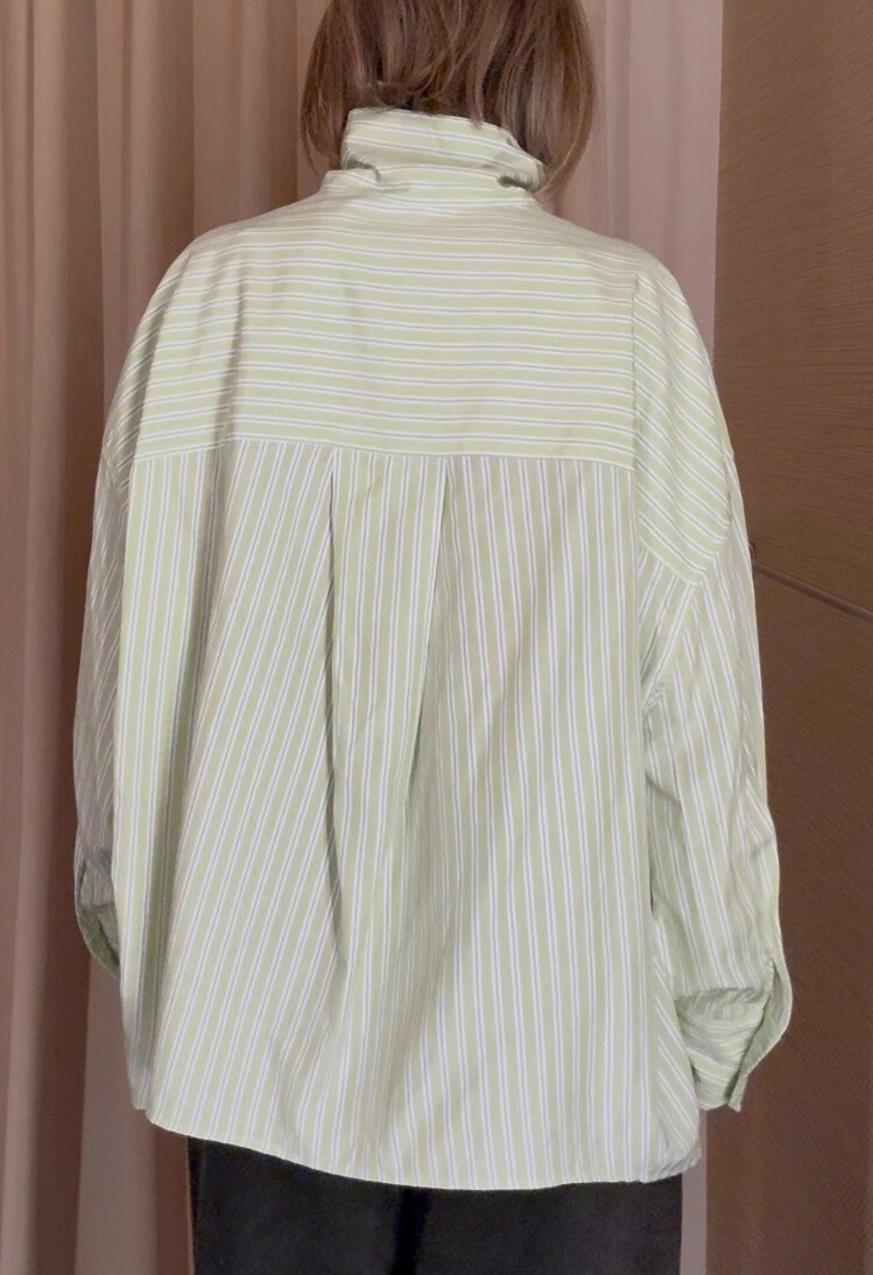 High Collar Button Down in Green Stripe Product Image