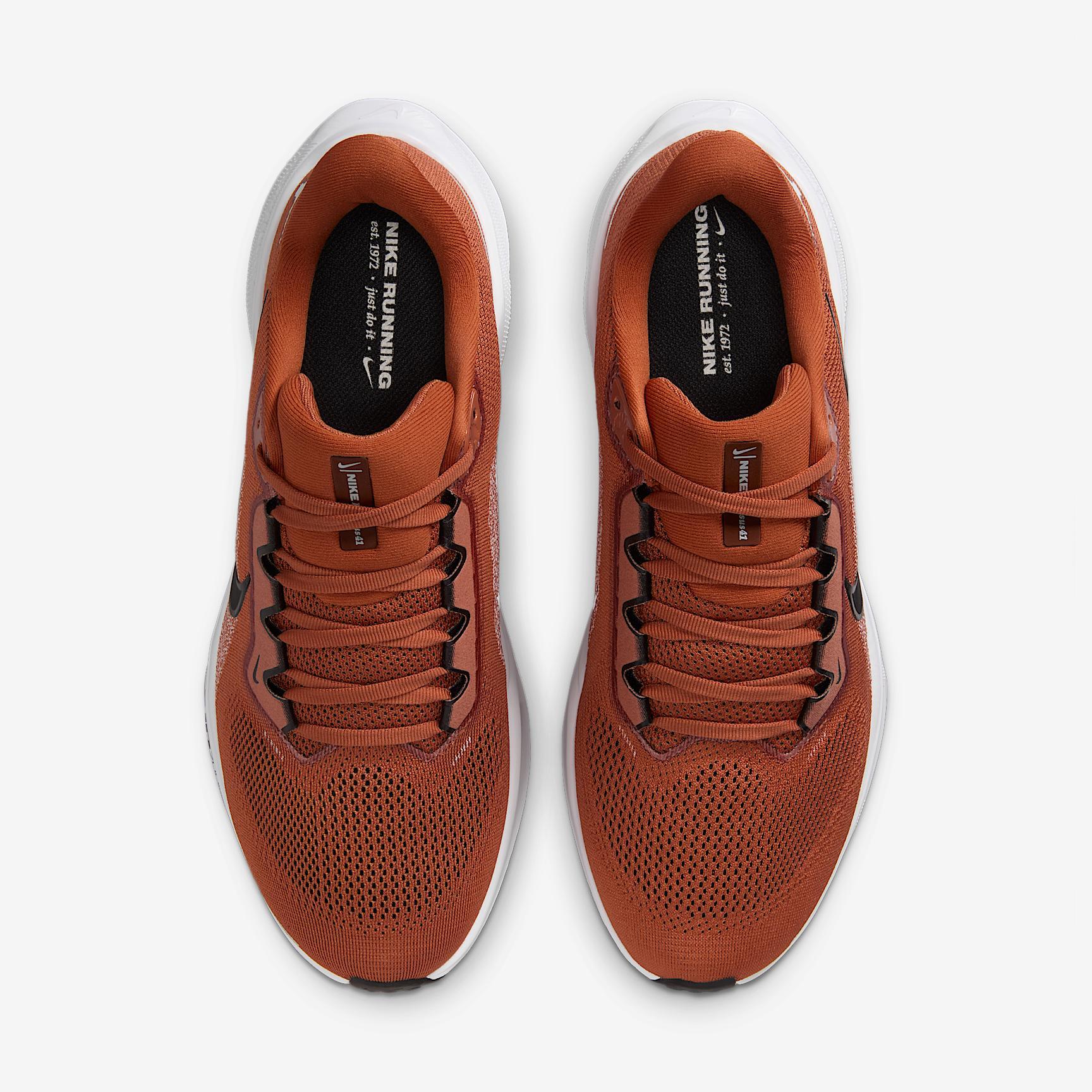 Texas Pegasus 41 Nike Men's College Road Running Shoes Product Image
