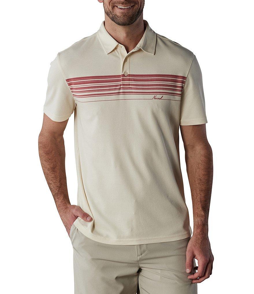 The Normal Brand Chip Pique Chest Stripe Short Sleeve Polo Shirt Product Image