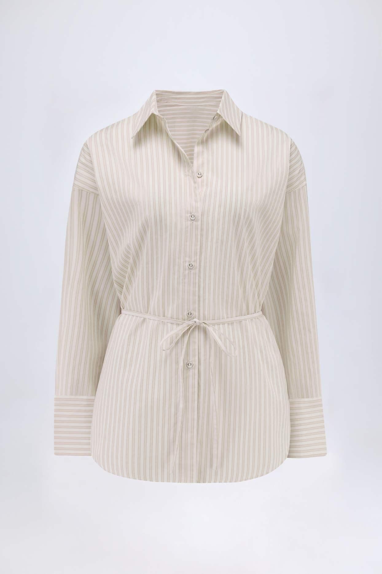Oversized Cotton-Poplin Shirt in Taupe Stripe Product Image