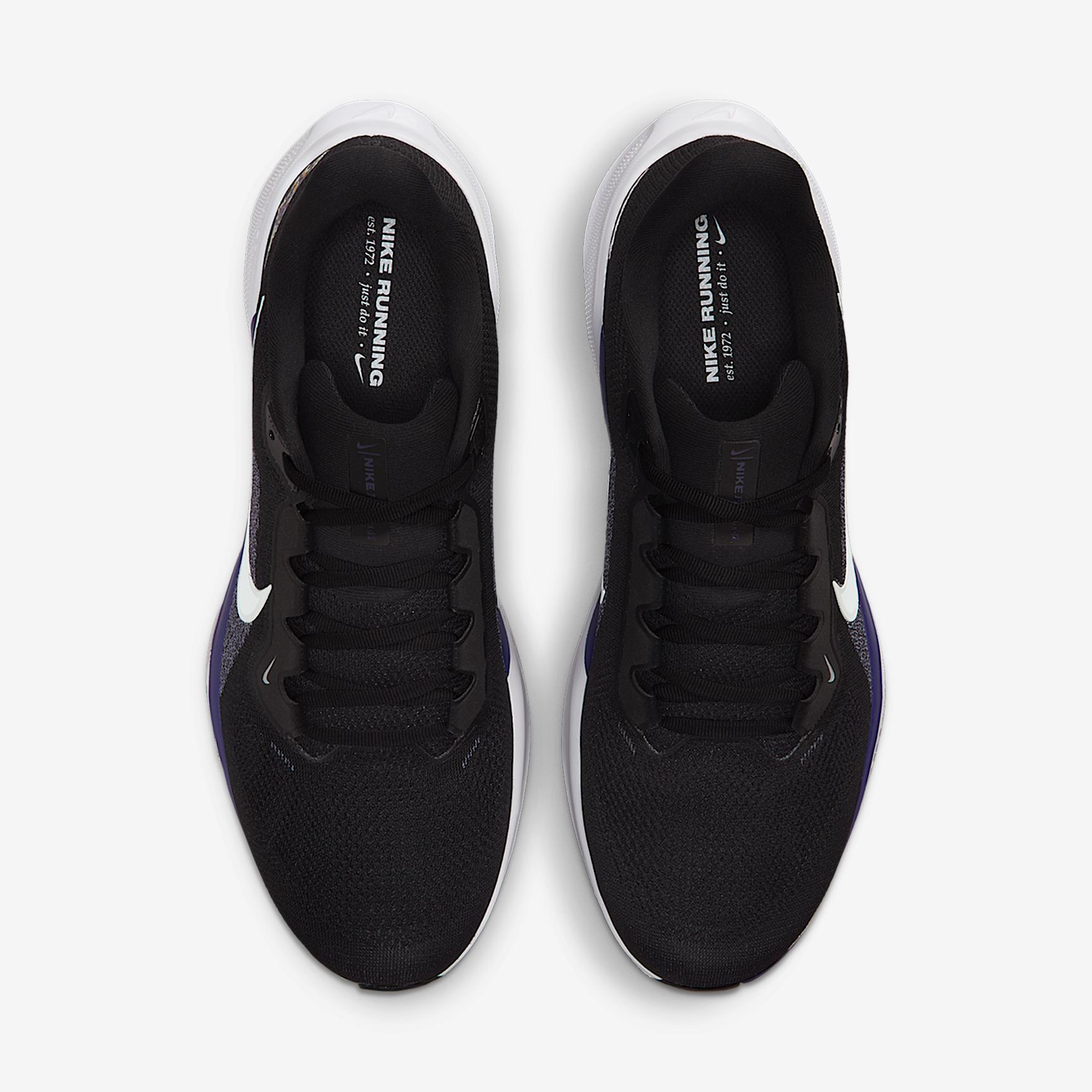 Baltimore Ravens Pegasus 41 Men's Nike NFL Road Running Shoes Product Image