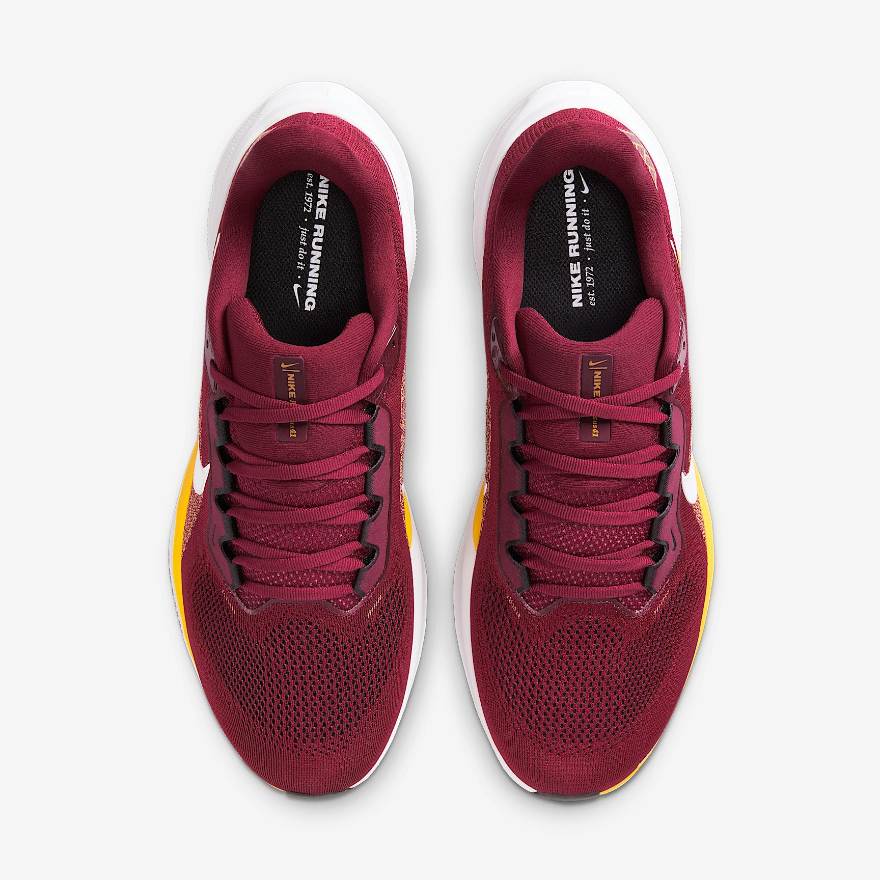 Washington Commanders Pegasus 41 Men's Nike NFL Road Running Shoes Product Image