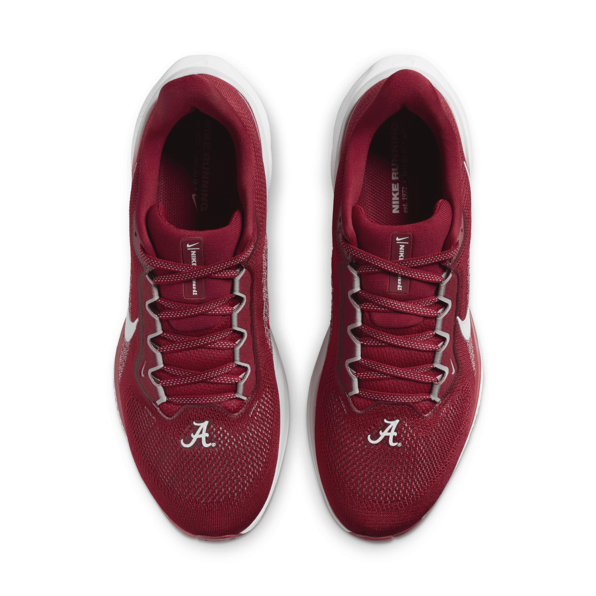 Nike Men's Pegasus 41 NFL Atlanta Falcons Road Running Shoes Product Image
