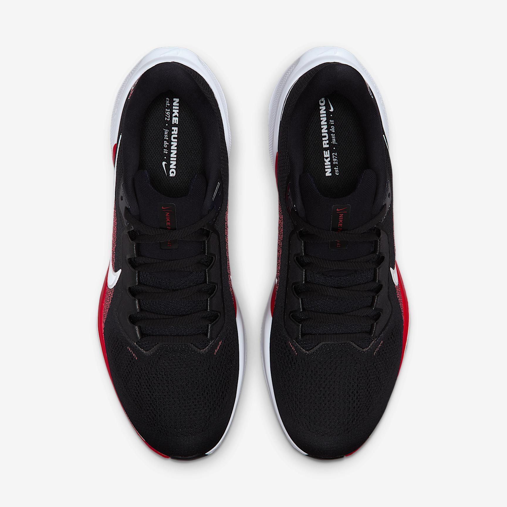 Houston Texans Pegasus 41 Men's Nike NFL Road Running Shoes Product Image