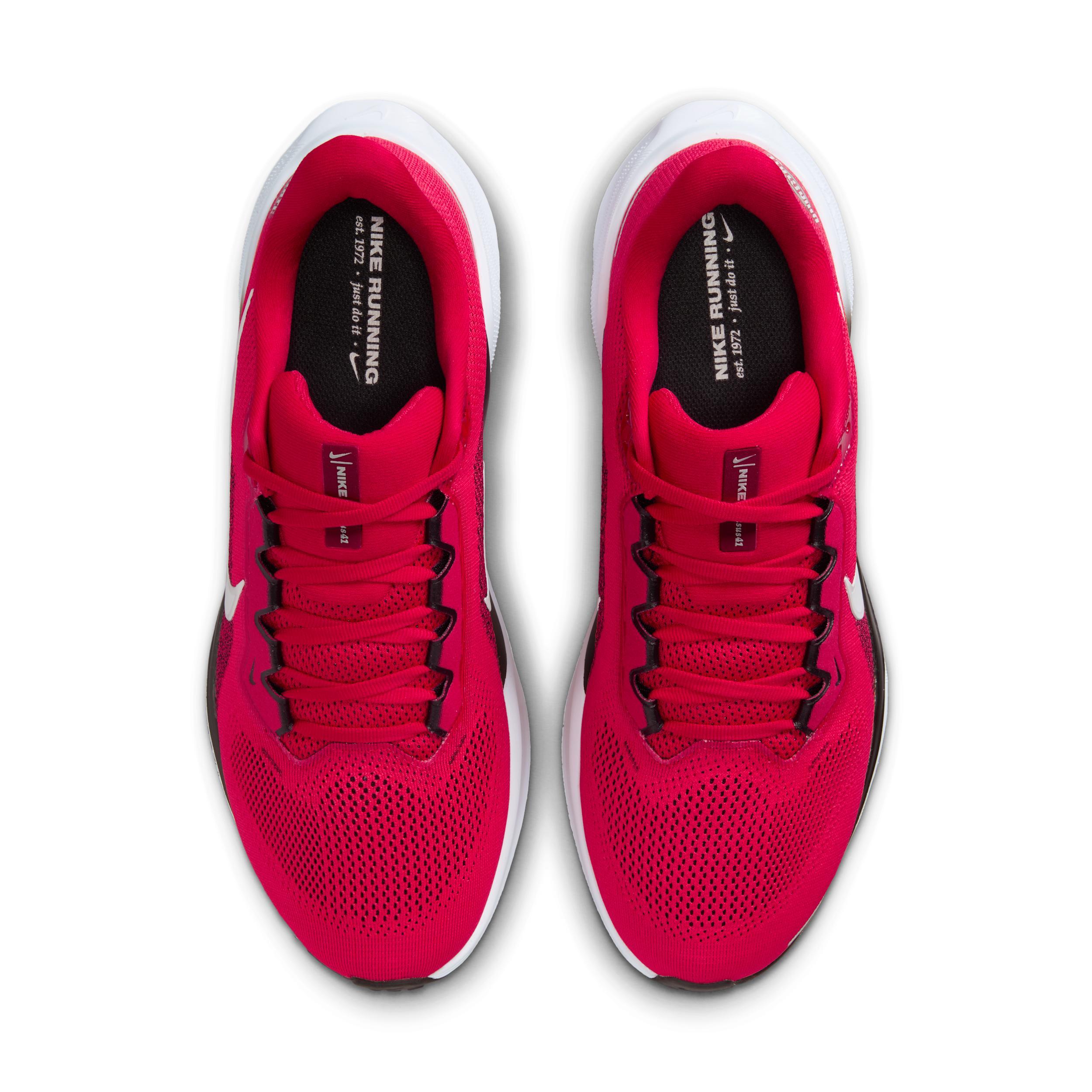 Ohio State Pegasus 41 Nike Men's College Road Running Shoes Product Image
